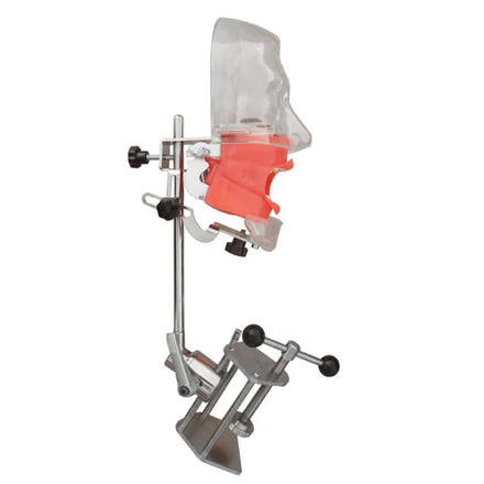 Medical Teaching U5 Dental Head Mannequin Dental Phantom Head Simulator Training Manikin