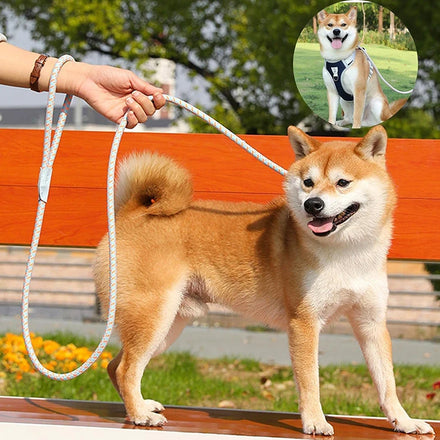In Stock Luxury Dog Leash Collar Set with Soft Braided Design Multiple Color Options Durable Nylon Rope Material Dog Leash