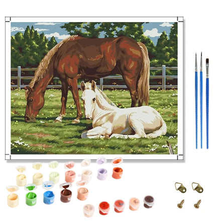 Painting by Numbers Horses in the Grassland DIY Paint by Numbers Painting Animals Canvas Art Crafts