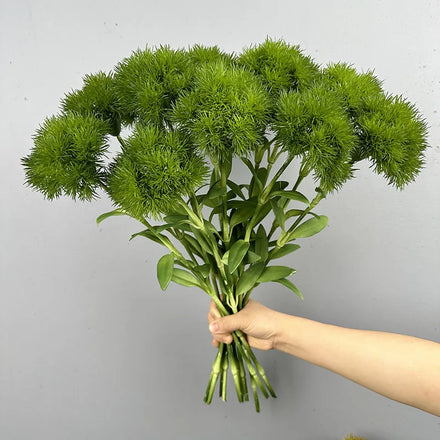 A047 Artificial Flower Simulation Green Dianthus House Garden Decoration Outdoor Wedding Arch Decoration