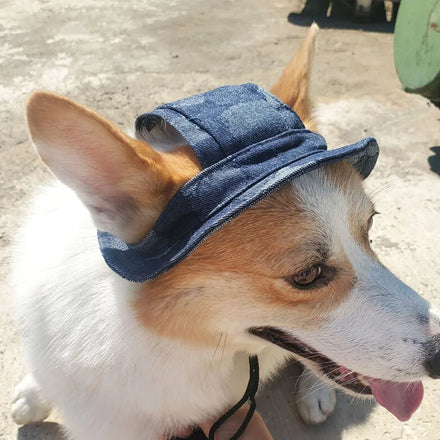 New Round Brim Dog Hat With Ear Holes Bucket Hat Breathable Pet Puppy Visor Princess Sunbonnet Cute Adjustable Baseball Cap