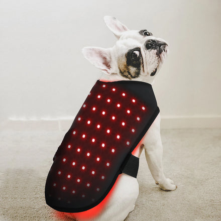 Anredar best 660nm 850nm physical pets therapy infrared light therapy mattress for dogs