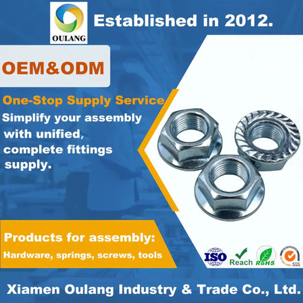 M8 M16 M20 18-8 Stainless Steel INOX SS SUS 304 316 316L A2 A4 70 80 Flange Nut Hex Hexagon Lock Nut DIN982 DIN985 Model M6