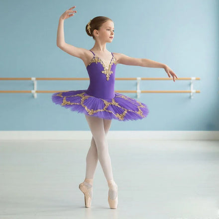 Girls Princess Costumes Velvet Performance Dress for Kids Ballet Leotard with Tutu Dance Costumes Ballet Dress Ballerina