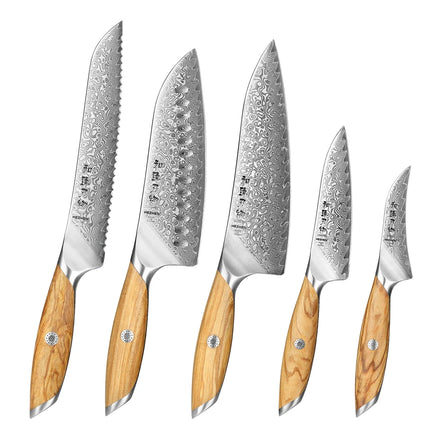 XINZUO 5PCS Knife Custom 73 Layers Damascus Powder Steel Olive Wood Handle Kitchen Chef Knives Set