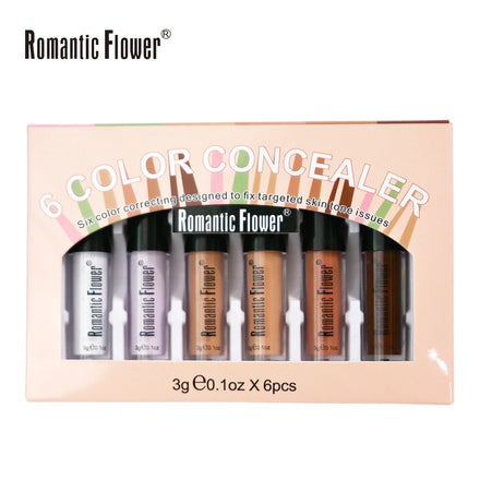 6 in 1 6Colors Waterproof Full Coverage Long Lasting Face Makeup Kit for Dark Skin