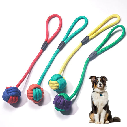 Pet Toys New Slippers Type Biting Chew Dog Toys Teeth Cleaning and Teeth Grinding Interactive Dog Toys
