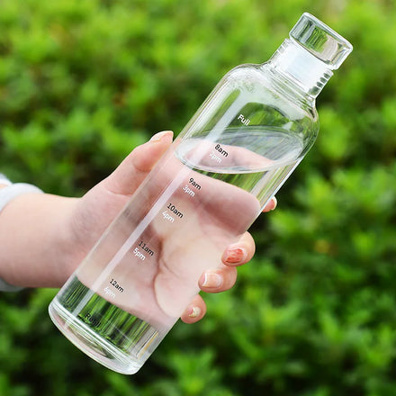 750ml Eco-friendly Transparent High Borosilicate Glass Water Bottle With Lid