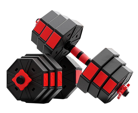 2 In1 Adjustable Hexagon Dumbbell Cement Dumbbells Set Weight Lifting Dumbbell With Gym Fitness