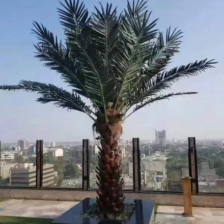 Factory Direct Sales Outdoor Large Artificial Palm Tree Coconut Tree Artificial Tree Wholesale