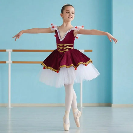 New Girls Ballet Dance Skirt Children's Professional Ballet Costume Performance TUTU Skirt