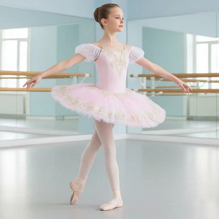 Professional Adult Women's Ballet Tutu Skirt Embroidered Swan Lake Tutu for Ballerina Parties Performance Wear for Kids' Dance