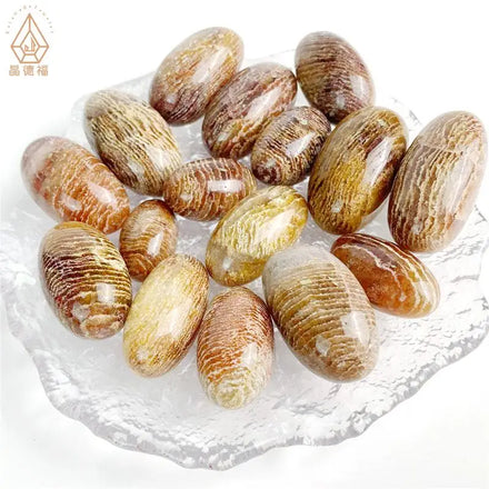Wholesale Natural Crystal Healing Stones Melaleuca Garden Quartz Tumbled Stone for Decoration
