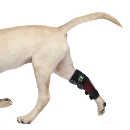 Anredar 660nm 850nm Near Infrared Red Light Therapy Pad 0 EMF for Dogs Cat Pet Pain Relief Paw