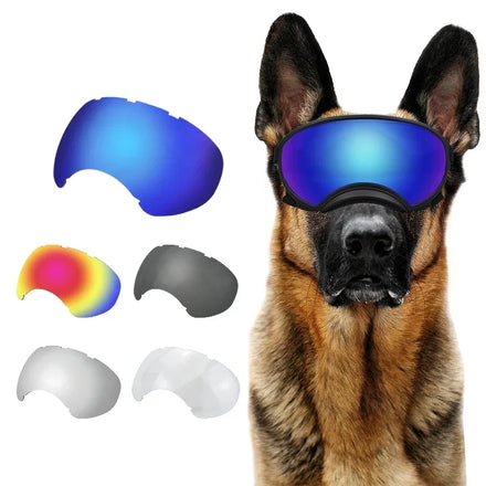 Replacement Lenses for Dog Sunglasses Dog Goggles UV Clear Colors Lens Medium-Large Breed Windproof Snow Sports Pet Lens