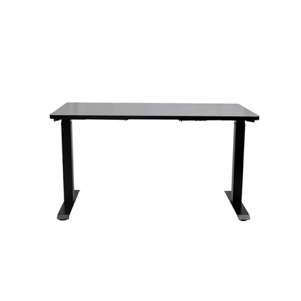 Hot Selling Home Office Furniture Modern Economical 2 Leg Electric Dual Motor Height Adjustable Standing Computer Desk
