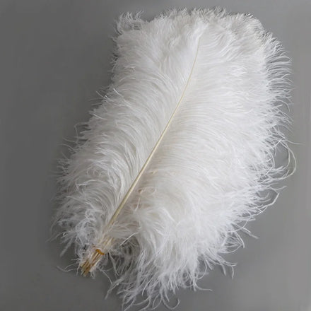 Wholesale Large White Ostrich Feathers for Wedding Decoration Crafts Cheap Carnival Party Centerpiece Table Dyed Pattern