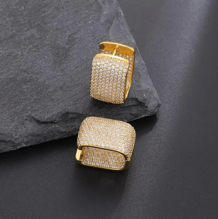 Double-layer Micro-inlaid Brass Zircon Drop Earrings Luxury High-end Leopard Print Women Niche Design Earrings