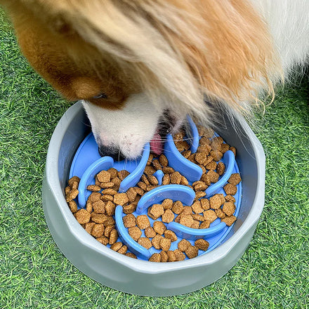 Custom Portable 2 in 1 Drinking Eating Puppy Essentials Silicone Mat Pet Cat Slow Feeder Dog Food Bowl