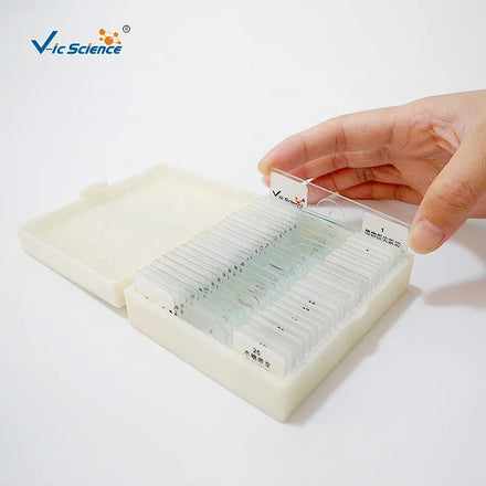 Plant Disease Prepared Microscope Slides Botany Pathology Teaching Slides for Agricultural College Lab Training CE/ISO/ROHS