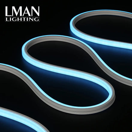 For Engineering Project Application Ip65 Waterproof 10*10mm Smd 2835 Dc 12v 24v Led Neon Light