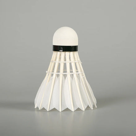 Aeroplane Shuttlecock Ling Mei 90 BWF Approved Badminton Shuttlecock