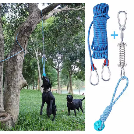 Tether Eco-Friendly Outdoor Dog Toy Heavy Duty Cotton Spring Pole Pitbull Tug Toy Sport Swivels Carabiner Rope