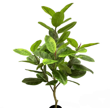 Hot Sale Plastic Greenery Artificial Plants Silk Fragrans Leaves for Wedding Decor