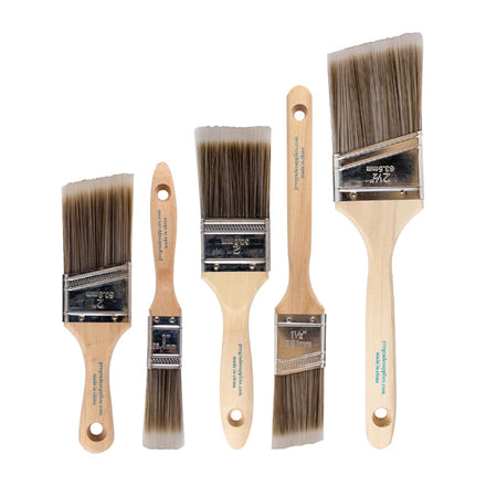 Pro Grade Juego de 5 brochas de Pintura, Tipo EA