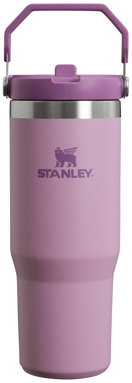 Stanley IceFlow - Vaso de acero inoxidable, botella de agua aislada al vacío para el hogar, la oficina o el automóvil, reutilizable, con pajilla, resistente a fugas, se puede voltear durante 12 horas