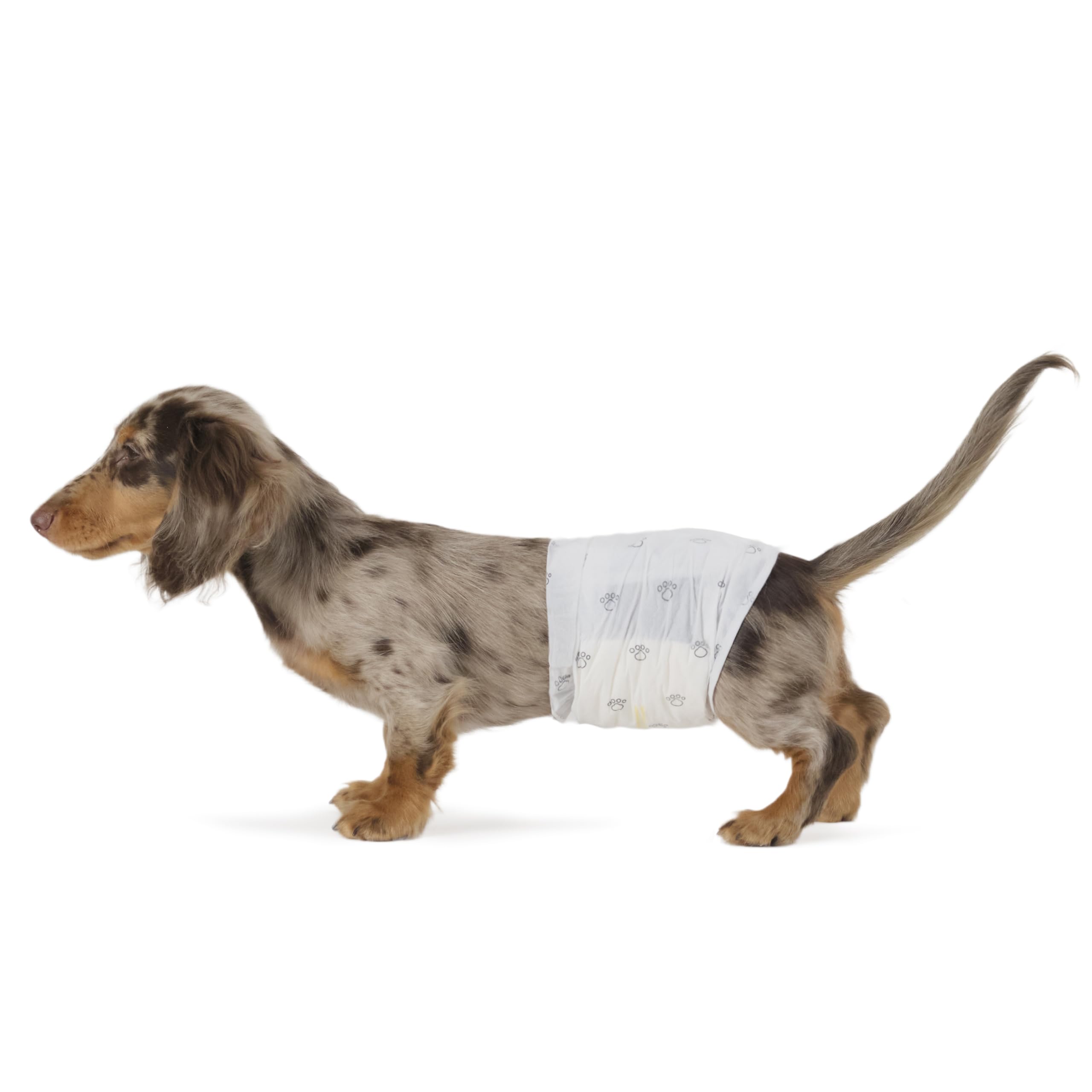 Amazon Basics Pañales Desechables para Perros Macho, S, Paquete de 30, Color Blanco