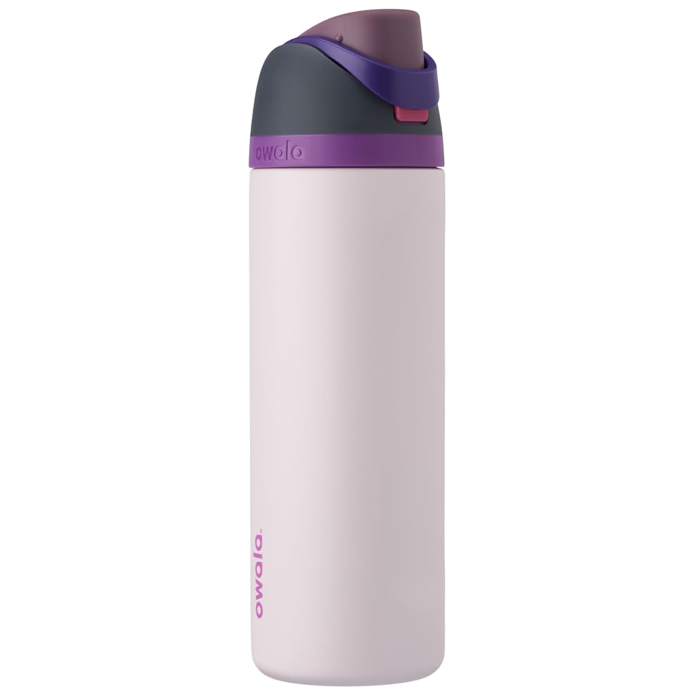 Owala FreeSip botella agua acero inoxidable con pajita, 710 ml - Botella térmica a prueba de fugas para el deporte y los viajes, sin BPA, Dreamy Field